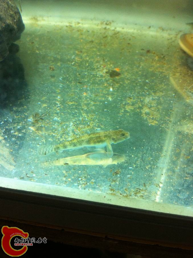 调整大小 照片 013.jpg