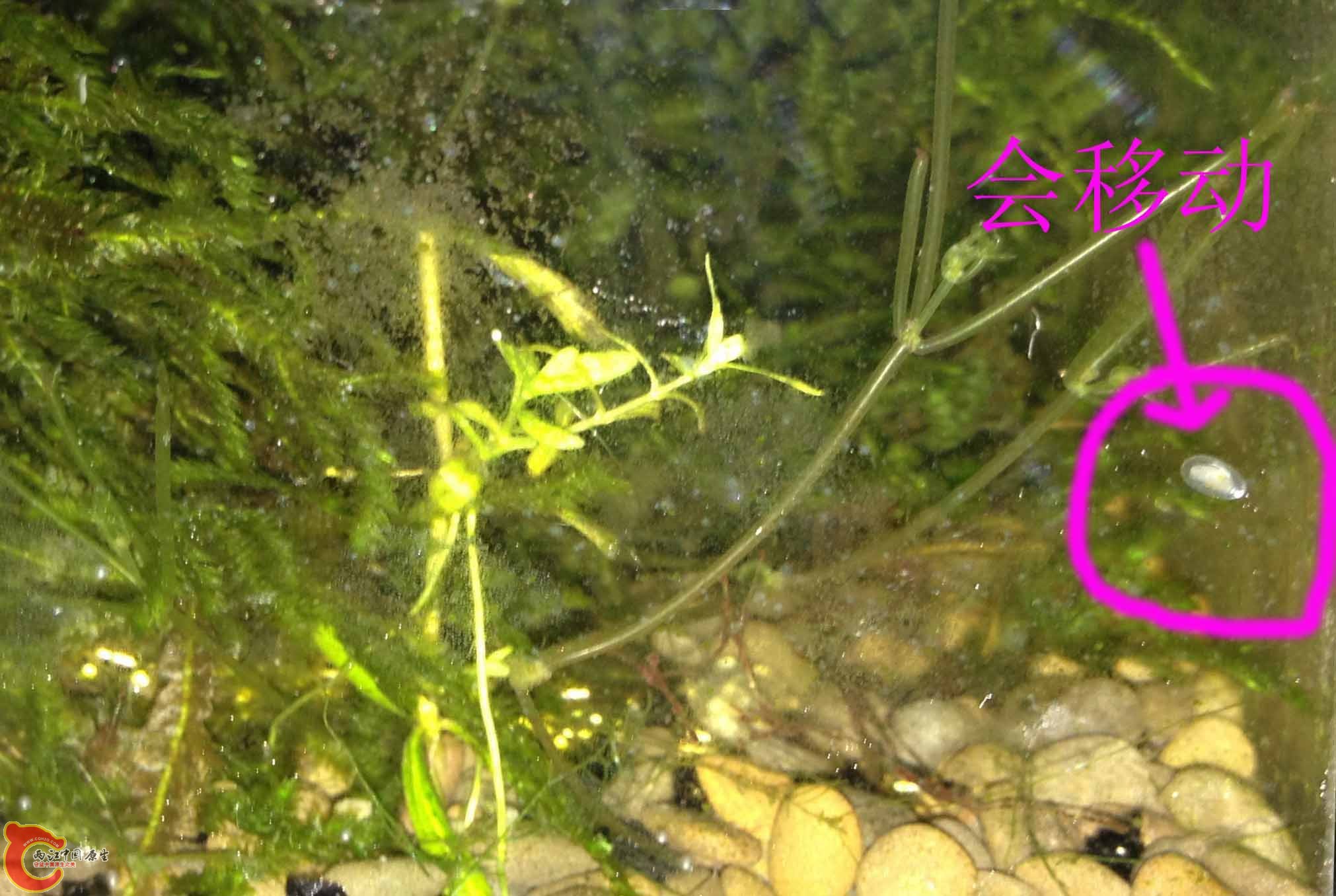 照片 003f.jpg