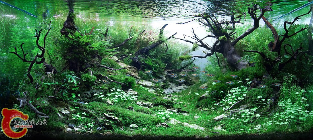 ADA2012-0009#-180.jpg