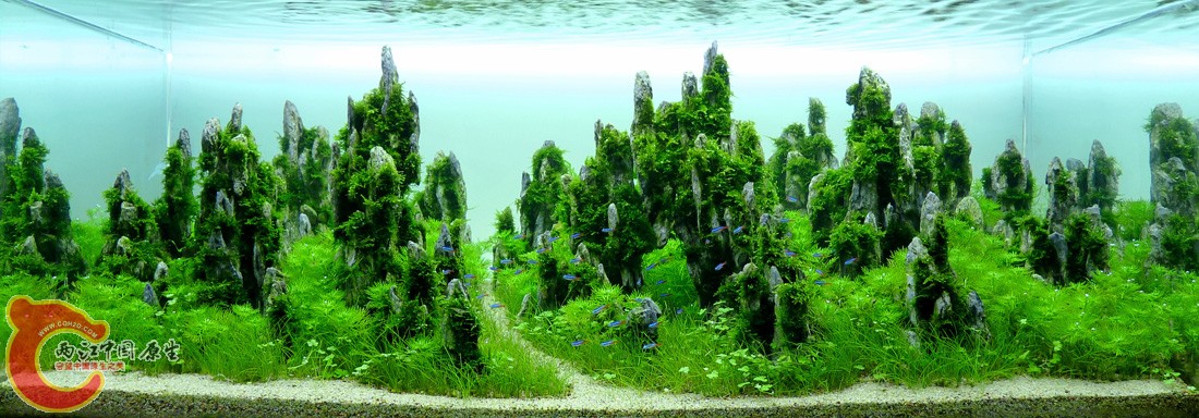 ADA2012-0013#-133.jpg