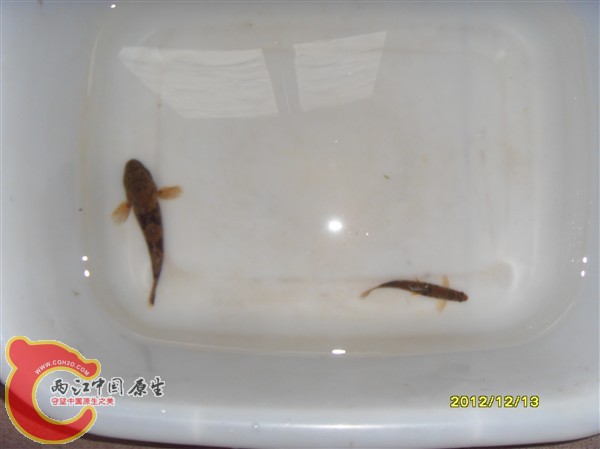 SDC10040_副本.jpg