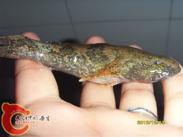 SDC10044_副本.jpg