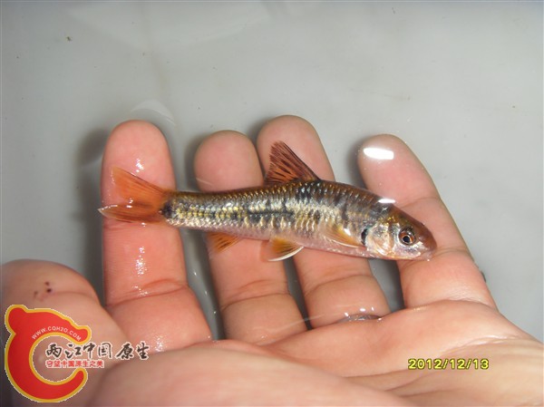 SDC10048_副本.jpg