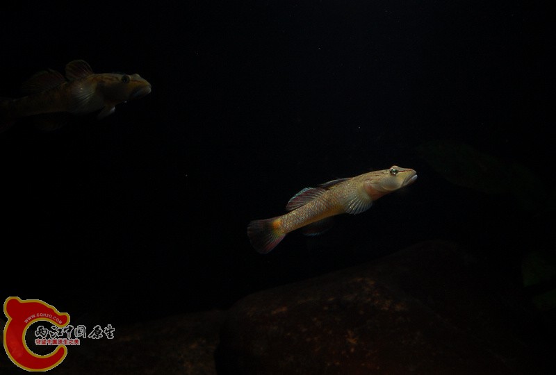 DSC_7816.jpg