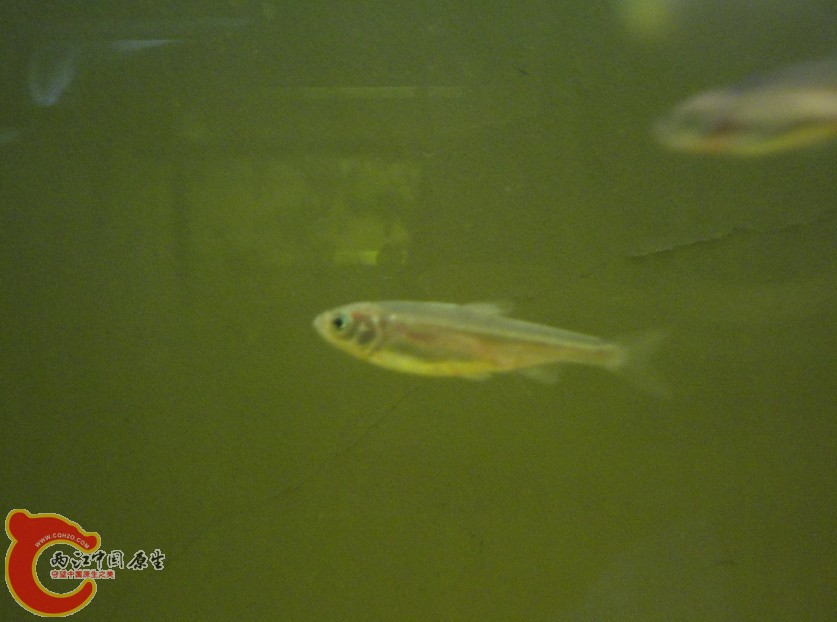 2201352d3idm3h6382dh22.jpg