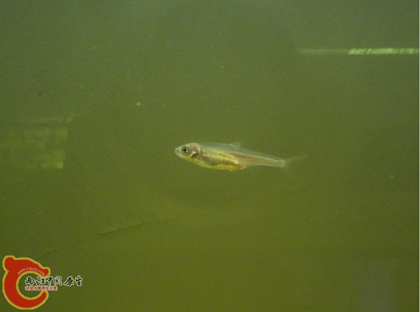 22013127r22w9db4q4e4w1.jpg