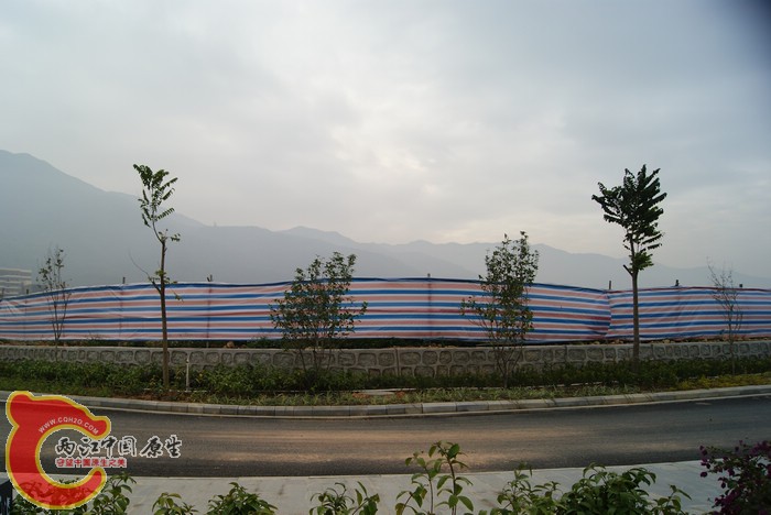 DSC01622.jpg