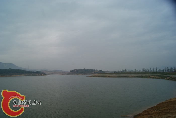 DSC01626.jpg