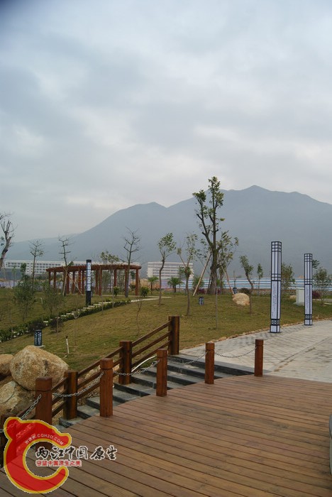 DSC01628.jpg
