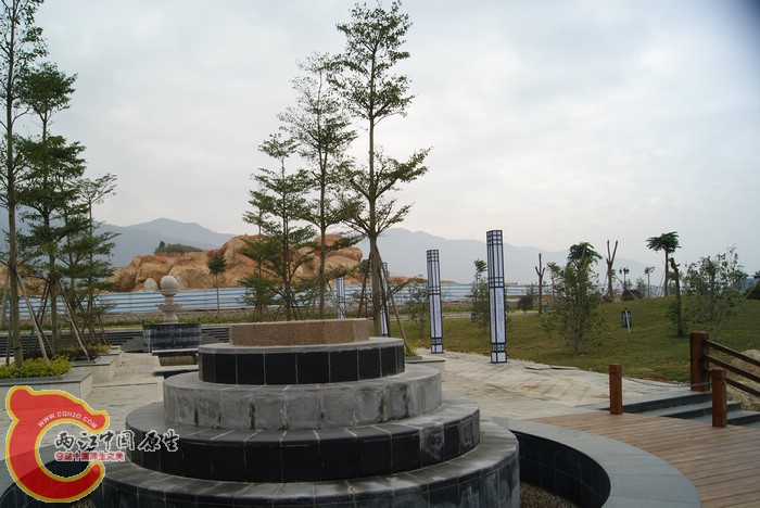 DSC01631.jpg