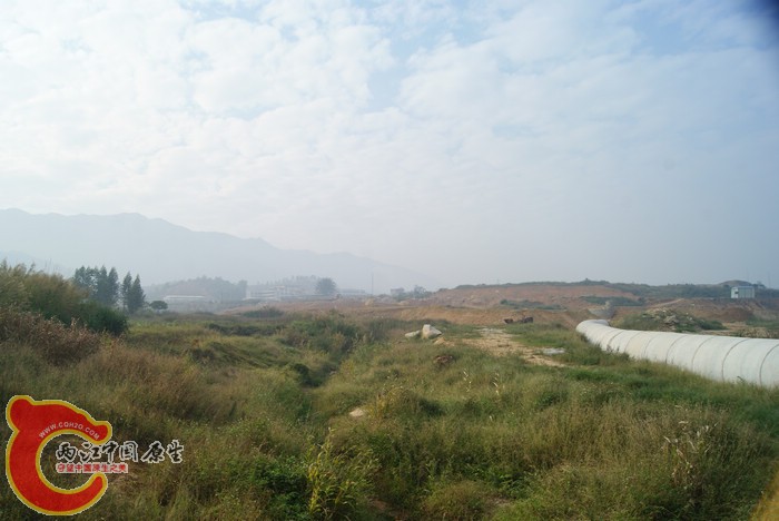 DSC01654.jpg