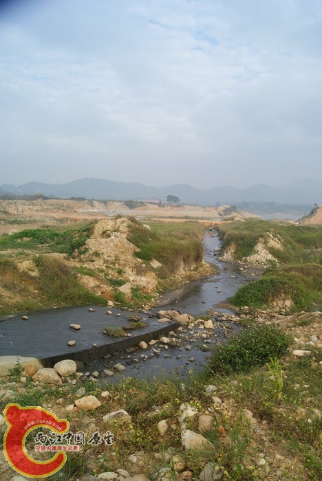 DSC01655.jpg