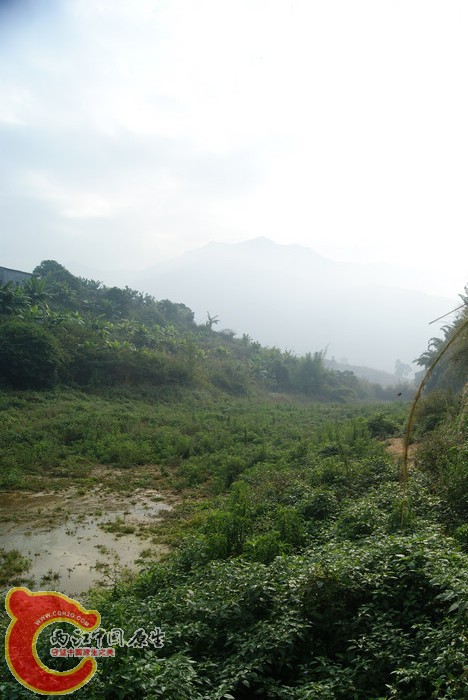 DSC01662.jpg