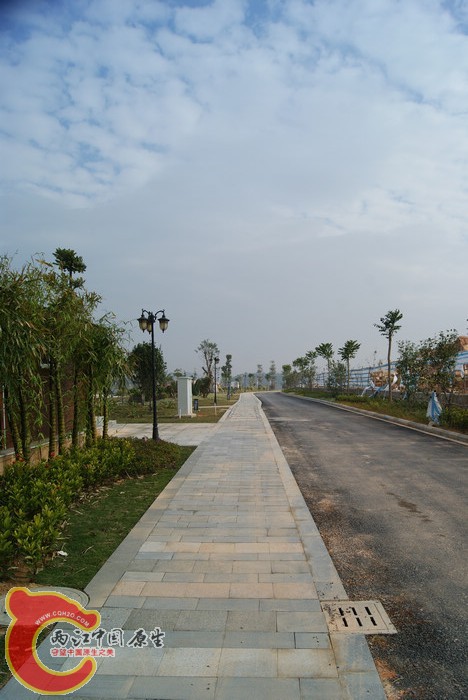 DSC01685.jpg