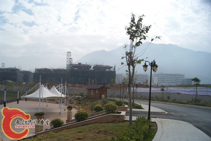 DSC01698.jpg