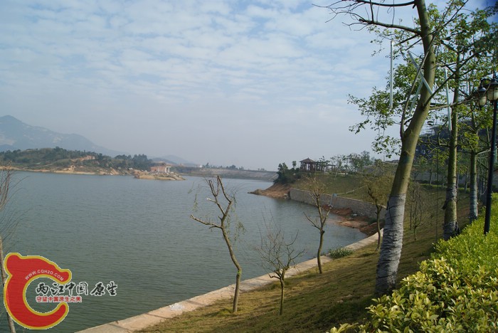 DSC01701.jpg