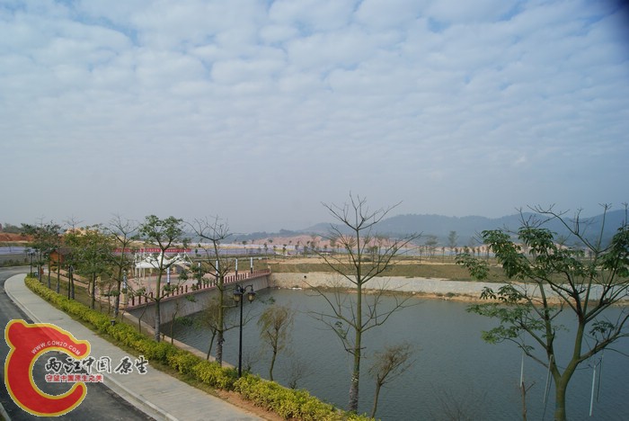 DSC01705.jpg