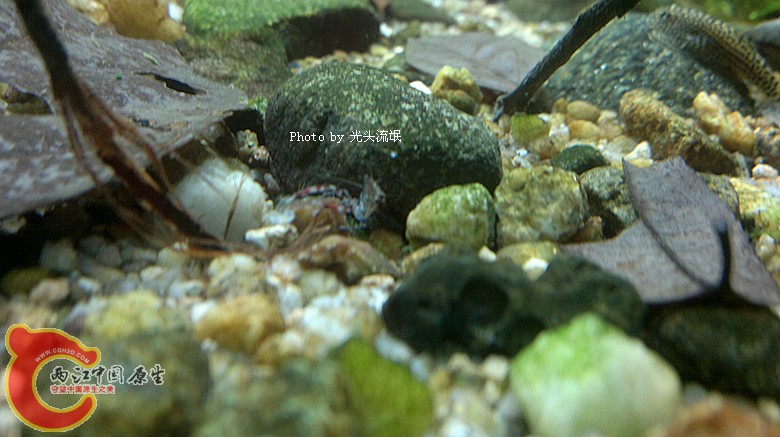 201212133299.jpg