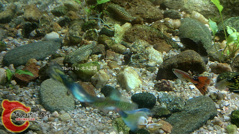 201212133302.jpg