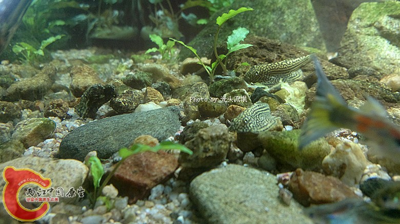 201212133301.jpg