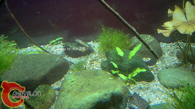 201212133303.jpg