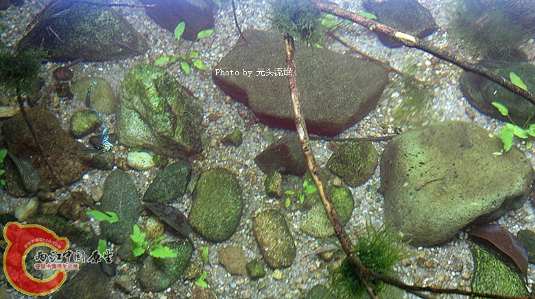 201212133305.jpg