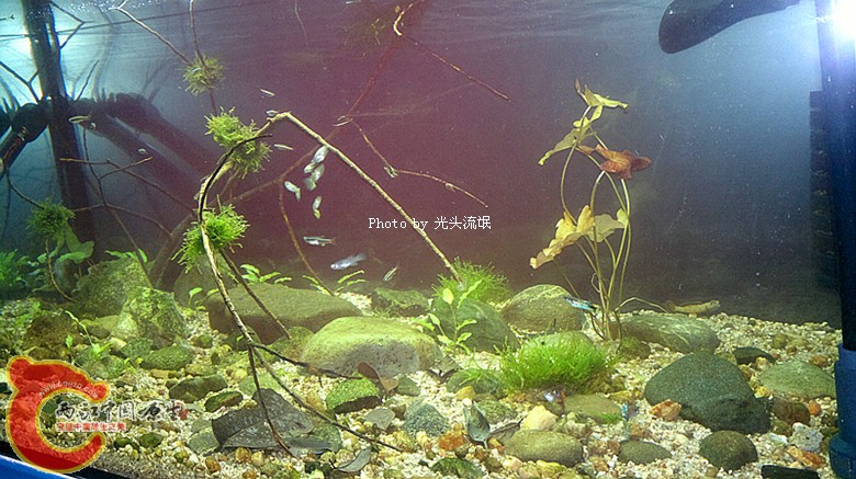 201212133308.jpg