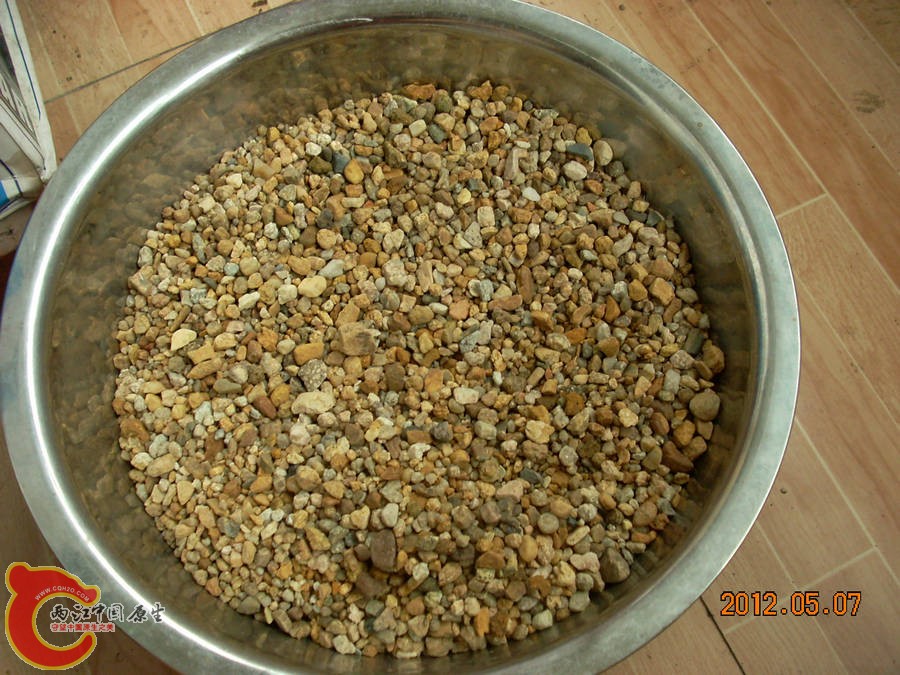 原生缸开缸准备-粗河砂 2012.05.07-DSCN1887.jpg