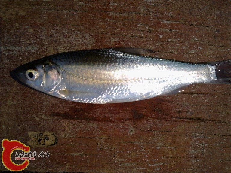 20110926464.JPG
