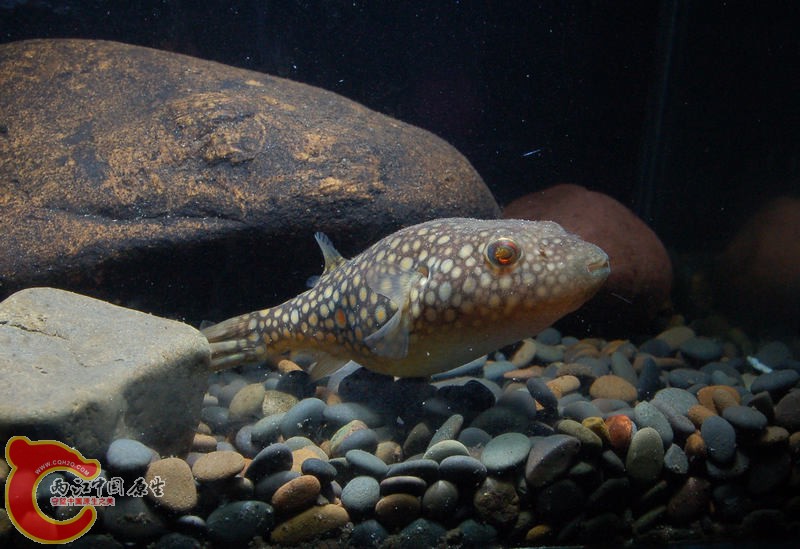 DSC_7924.jpg