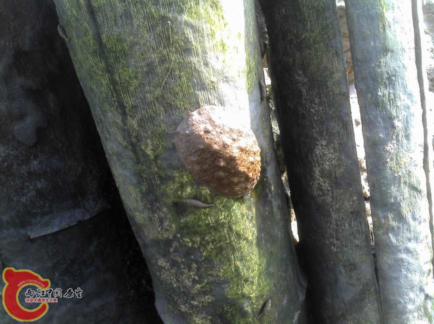 2012-12-16_10-41-18_312.jpg