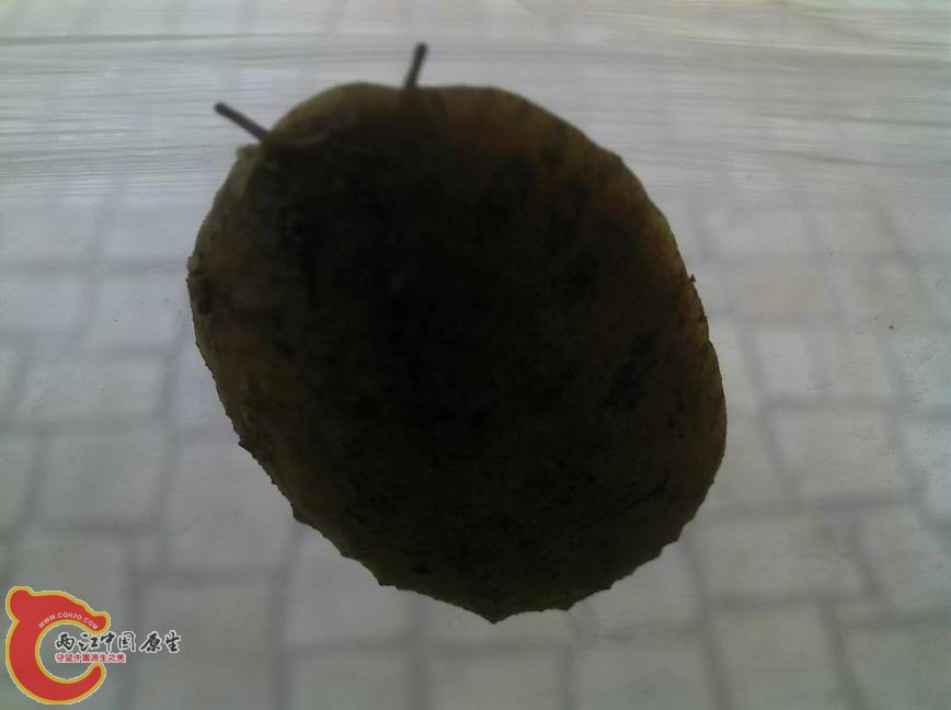 2012-12-16_16-04-43_654.jpg