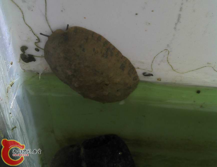 2012-12-17_08-01-44_797.jpg