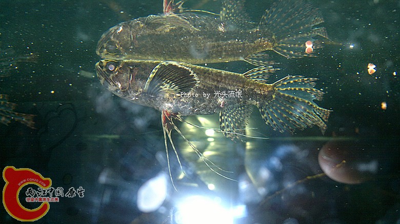 201212113239.jpg