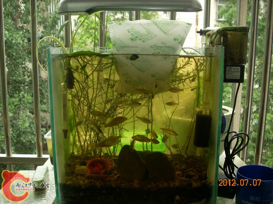 冰袋 2012.07.07-DSCN0296.jpg 冰袋 2012.07.07-DSCN0296.jpg