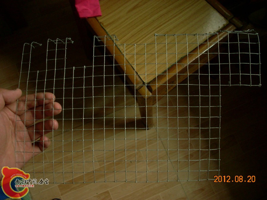 网 2012.08.20-DSCN0550.jpg