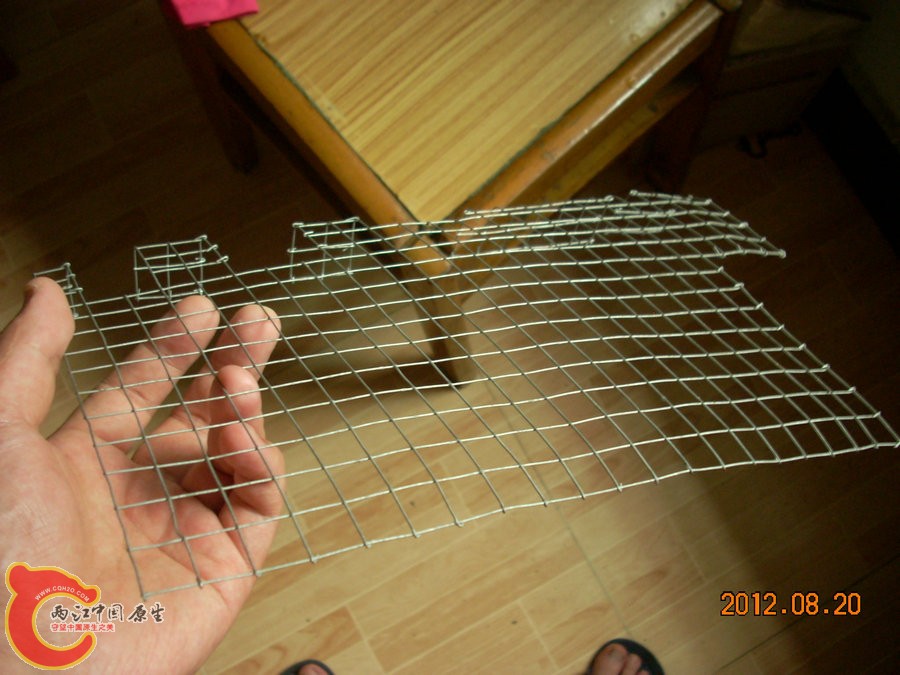 网 2012.08.20-DSCN0551.jpg