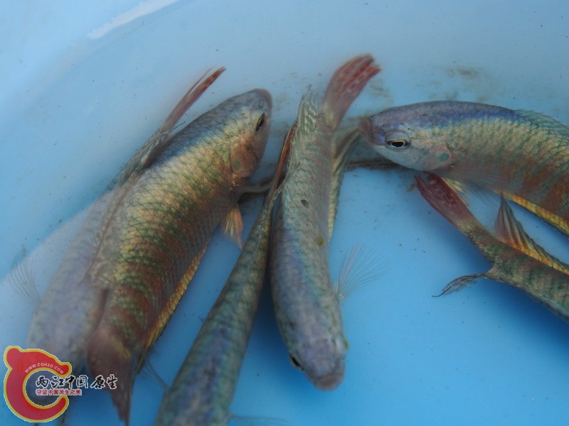 PC150311_调整大小.JPG