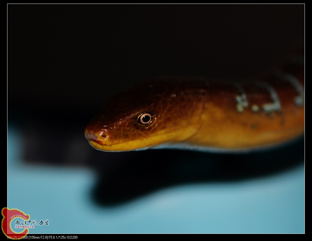 DSC_7749.jpg