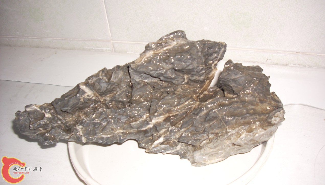 再晒一块石料。以前是个龟的爬台,龟太胖了爬不上去,马上准备入缸造景 再晒一块石料。以前是个龟的爬台,龟太胖了爬不上去,马上准备入缸造景