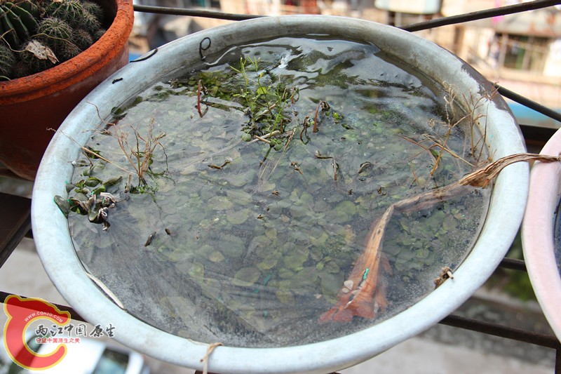 IMG_9664_副本.jpg