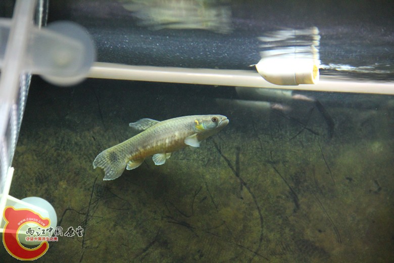 IMG_2013_副本.jpg