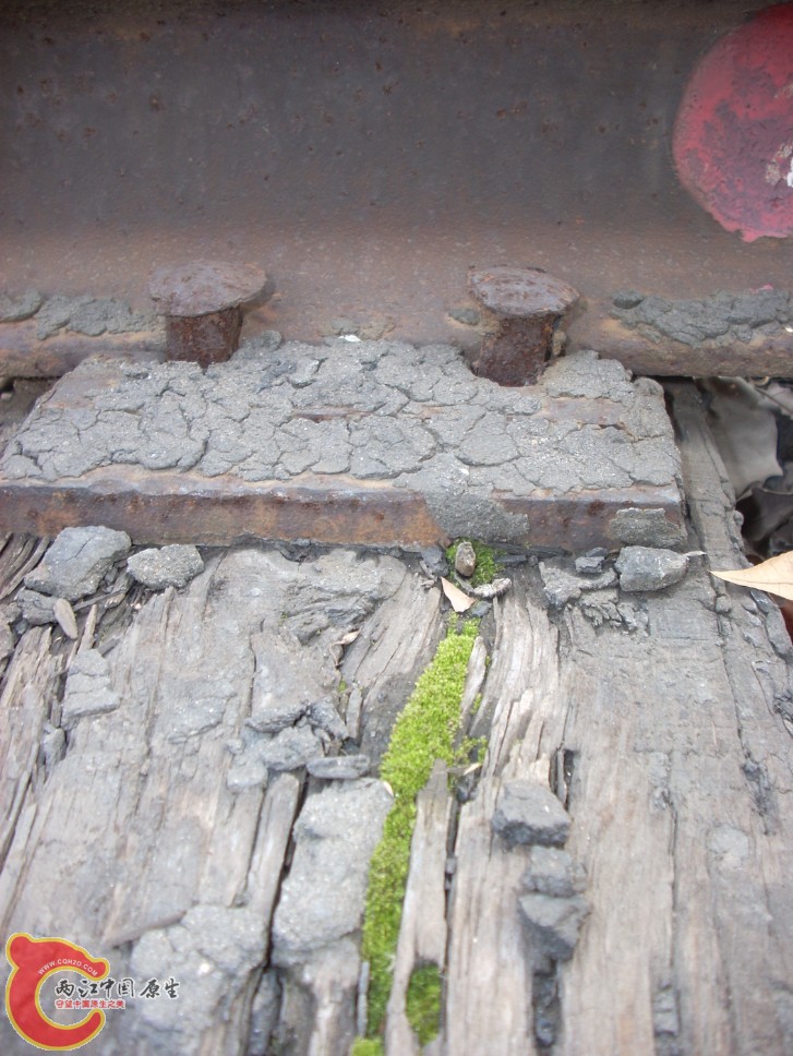 道钉和枕木上的苔藓