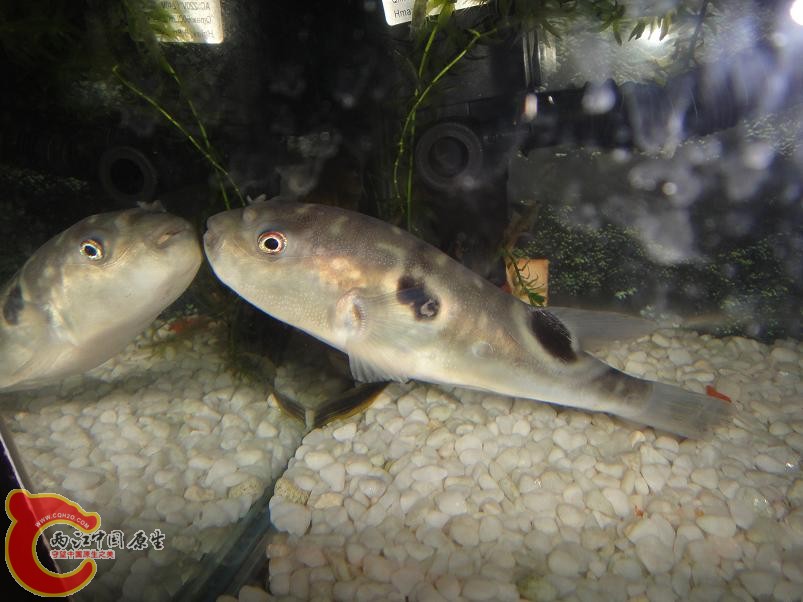 DSC02757.JPG