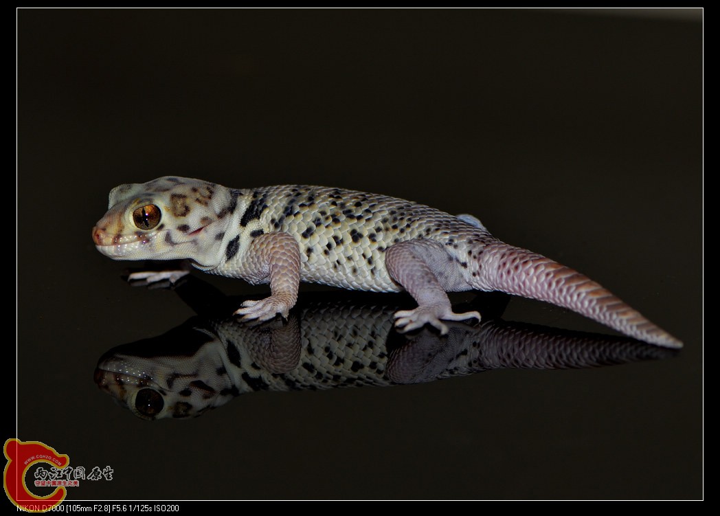 DSC_7766.jpg