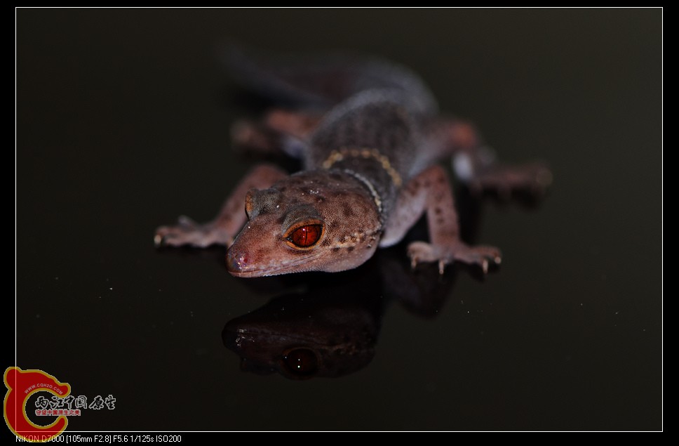 DSC_8114.jpg