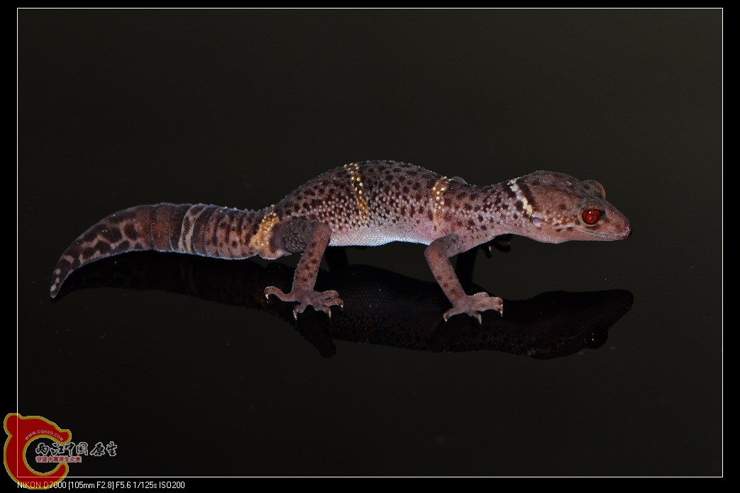 DSC_8118.jpg