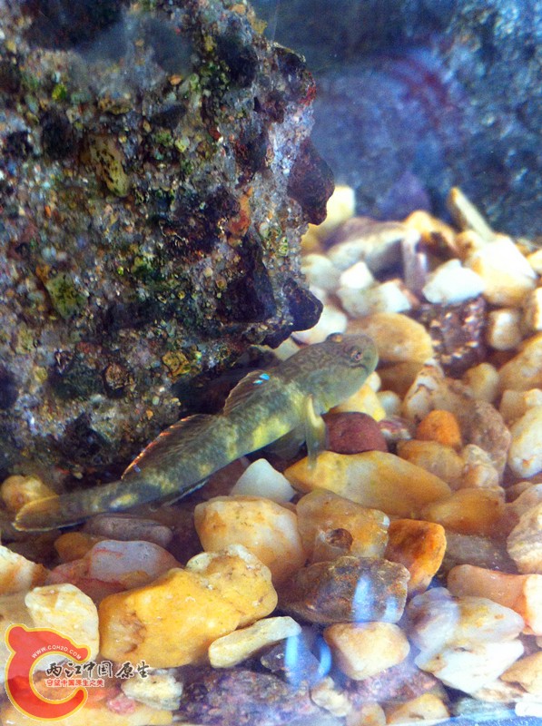 照片 014_副本.jpg