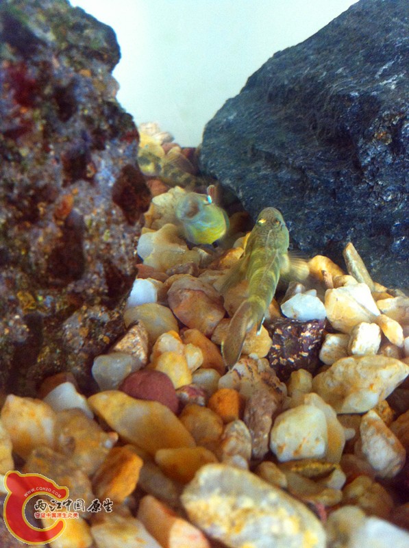 照片 016_副本.jpg