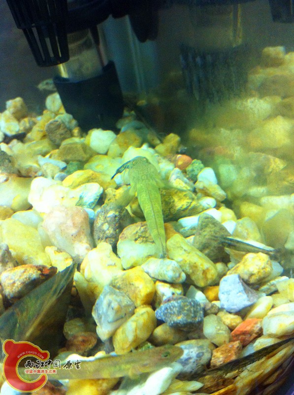 照片 017_副本.jpg